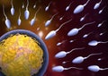 Sperm and egg. Royalty Free Stock Photo