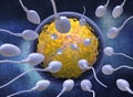 Sperm and egg. Royalty Free Stock Photo