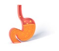 3D illustration of the stomach showing the interior doing the digestion with gases.