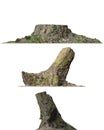 Stump dead tree isolated on white 3d illustration