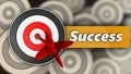 3d target with success