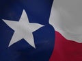 Flag of Texas Royalty Free Stock Photo