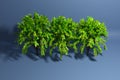 3D illustration of three fluffy big green deciduous trees