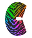 3D illustration Tiger black rainbow print letter C, animal skin fur decorative character C, Tiger 7 colors pattern.