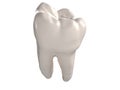 3D Illustration - Tooth - White Background