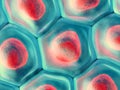 3d illustration of a top view on blue cell pattern with red cell Royalty Free Stock Photo