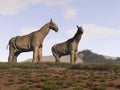 3d illustration of two indricotherium Royalty Free Stock Photo