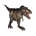 3D Illustration Tyrannosaurus on White