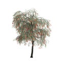 3d illustration of weeping bottlebrush tree isolated on white background