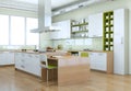 White modern kitchen with green elements interior design