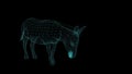 wire frame of Donkey  on black background Royalty Free Stock Photo