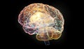 3d illustration of wireframe digital human brain