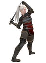 Woman elf warrior with sword isolated on white background 3D illustration Royalty Free Stock Photo