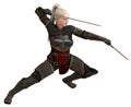 Woman elf warrior with swords isolated on white background 3D illustration Royalty Free Stock Photo