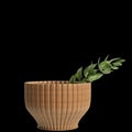 3d illustration of wood vase decoration in luxury space isolated black background