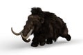 3D illustration of a Woolly Mammoth charging, the extinct relative of the modern Elephant isolated on a white background