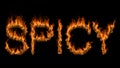 3D illustration of word spicy text on fire with alpha layer Royalty Free Stock Photo