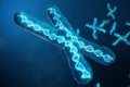 3D illustration X-Chromosomes with DNA carrying the genetic code. Genetics concept, medicine concept. Future, genetic Royalty Free Stock Photo