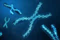 3D illustration X-Chromosomes with DNA carrying the genetic code. Genetics concept, medicine concept. Future, genetic Royalty Free Stock Photo