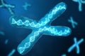 3D illustration X-Chromosomes with DNA carrying the genetic code. Genetics concept, medicine concept. Future, genetic Royalty Free Stock Photo