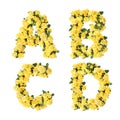 3D illustration of Yellow rose flowers alphabet - letters A-D