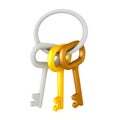 3D illustrration of of a key chain with multiple colored keys