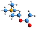 3D image of acetylcholine skeletal formula