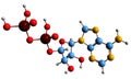 3D image of Adenosine diphosphate skeletal formula Royalty Free Stock Photo