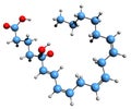 3D image of Arachidonic acid 5-hydroperoxide skeletal formula