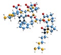 3D image of Bradykinin skeletal formula