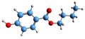 3D image of Butylparaben skeletal formula