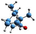 3D image of Camphor skeletal formula