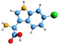 3D image of 6-Chloro-L-tryptophan skeletal formula