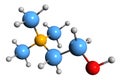 3D image of Choline skeletal formula