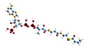 3D image of Crotonyl-CoA skeletal formula