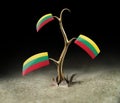 3d sprout with Lithuanian flag on black