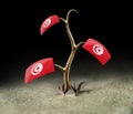 3d sprout with Tunisian flag on black