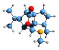 3D image of Dendrobine skeletal formula