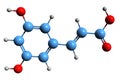 3D image of 3,5-Dihydroxycinnamic acid skeletal formula