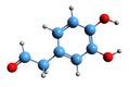 3D image of 3,4-Dihydroxyphenylacetaldehyde skeletal formula Royalty Free Stock Photo