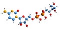 3D image of 4-Diphosphocytidyl-2-C-methylerythritol skeletal formula Royalty Free Stock Photo