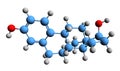 3D image of estradiol skeletal formula Royalty Free Stock Photo