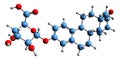 3D image of Estrone glucuronide skeletal formula