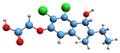 3D image of Etacrynic acid skeletal formula