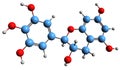 3D image of Gallocatechin skeletal formula