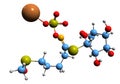 3D image of Glucoraphanin skeletal formula