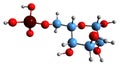 3D image of Glucose 6-phosphate skeletal formula