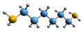 3D image of Hexamethylenediamine skeletal formula