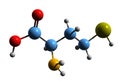 3D image of Homocysteine skeletal formula Royalty Free Stock Photo