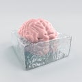 3d image of a human brain frozen in a block of ice